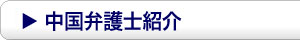 中国弁護士紹介